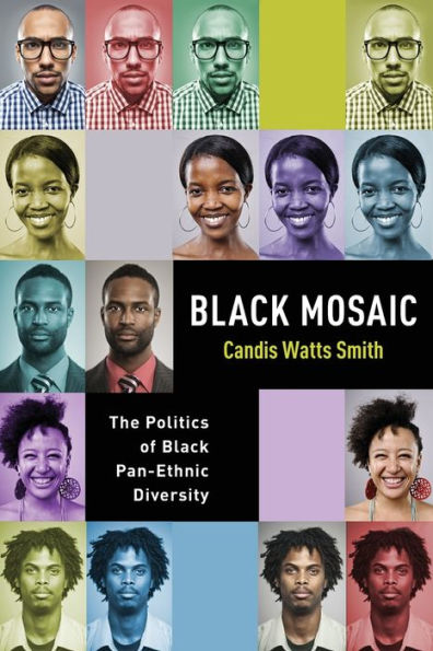 Black Mosaic: The Politics Of Black Pan-Ethnic Diversity