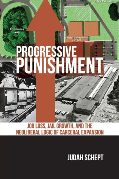 Progressive Punishment: Job Loss, Jail Growth, And The Neoliberal Logic Of Carceral Expansion (Alternative Criminology, 1)