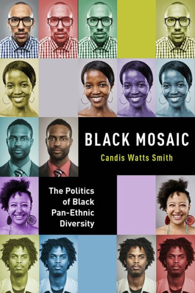Black Mosaic: The Politics Of Black Pan-Ethnic Diversity