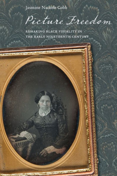 Picture Freedom: Remaking Black Visuality In The Early Nineteenth Century (America And The Long 19Th Century, 20)