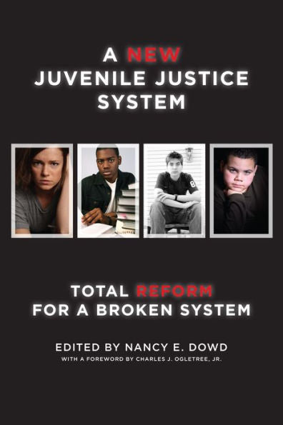 A New Juvenile Justice System: Total Reform For A Broken System (Families, Law, And Society, 6)