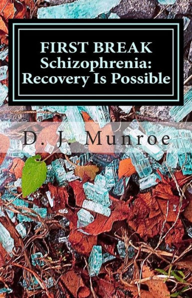 First Break Schizophrenia; Recovery Is Possible