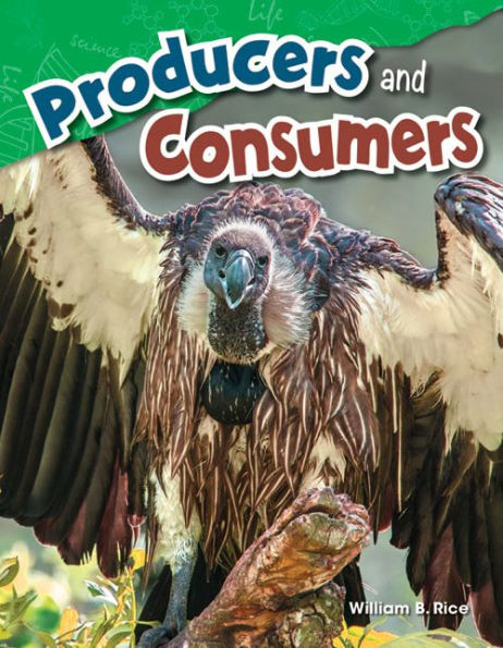 Teacher Created Materials - Science Readers: Content And Literacy: Producers And Consumers - Grade 4 - Guided Reading Level Q