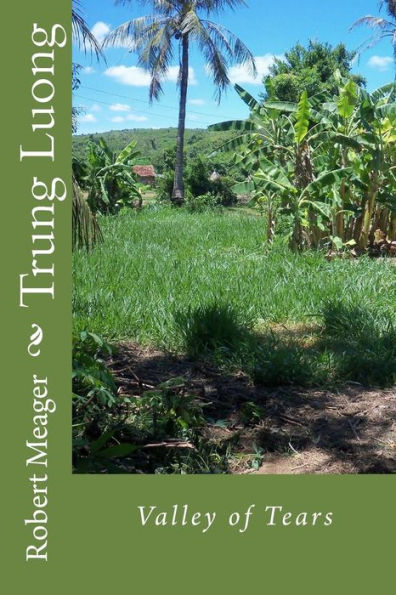 Trung Luong: Valley Of Tears