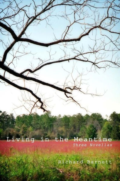 Living In The Meantime: Three Novellas