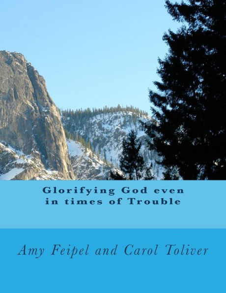 Glorifying God Even In Times Of Trouble - 9781482377521