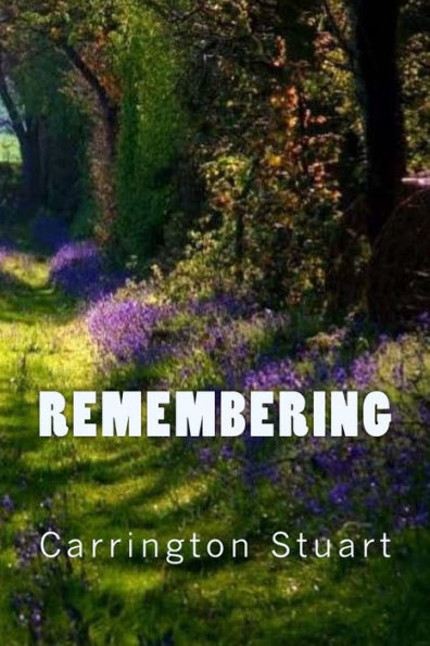 Remembering (The Annie Stewart Series)