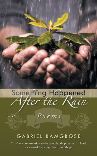 Something Happened After The Rain: Poems