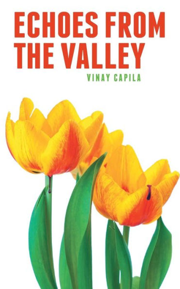 Echoes From The Valley