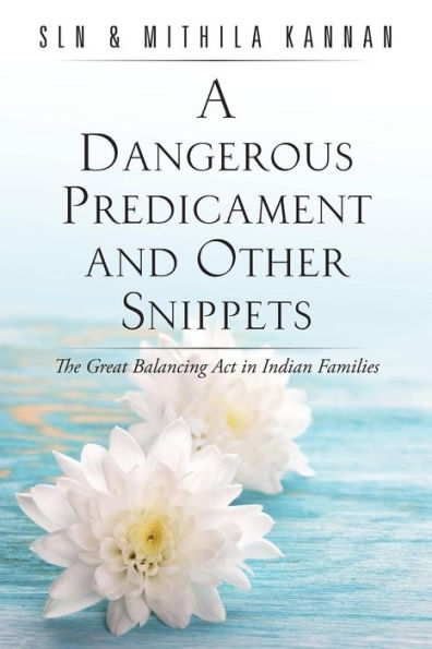 A Dangerous Predicament And Other Snippets: The Great Balancing Act In Indian Families
