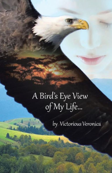 A Bird's Eye View Of My Life