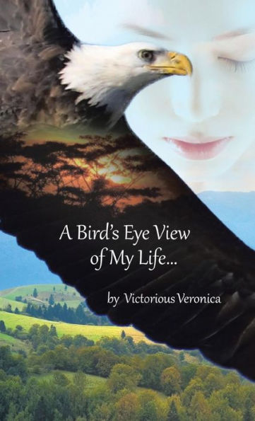 A Bird's Eye View Of My Life