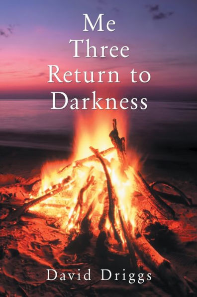 Me Three: Return To Darkness