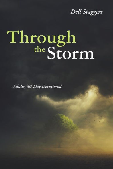 Through The Storm: Adults, 30-Day Devotional