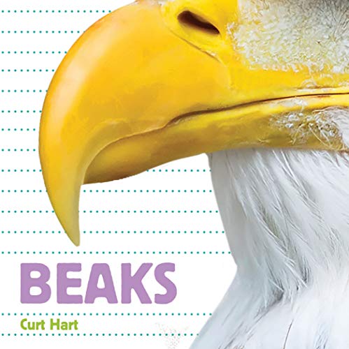 Whose Is It? Beaks