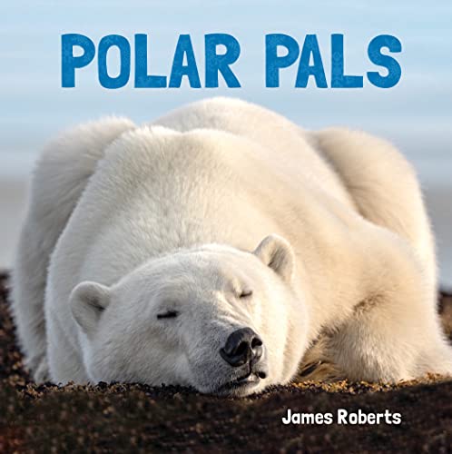 Polar Pals (Animal Lovers) - 9781486725298
