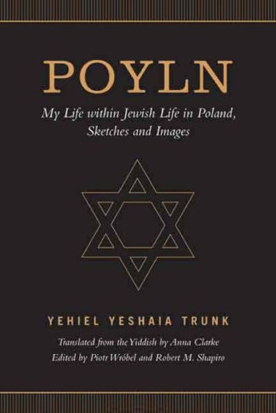 Poyln: My Life Within Jewish Life In Poland, Sketches And Images