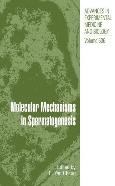 Molecular Mechanisms In Spermatogenesis