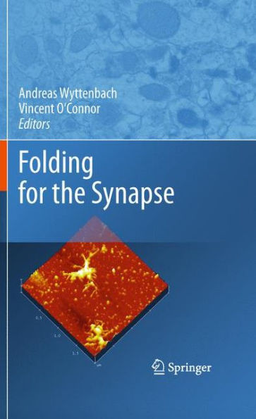 Folding For The Synapse