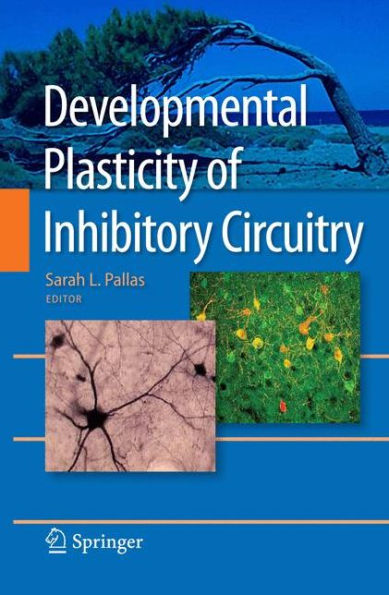 Developmental Plasticity Of Inhibitory Circuitry