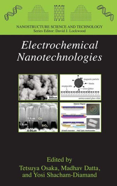 Electrochemical Nanotechnologies (Nanostructure Science And Technology)