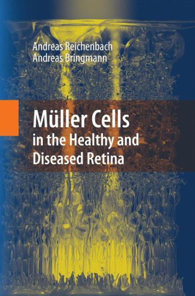 Müller Cells In The Healthy And Diseased Retina