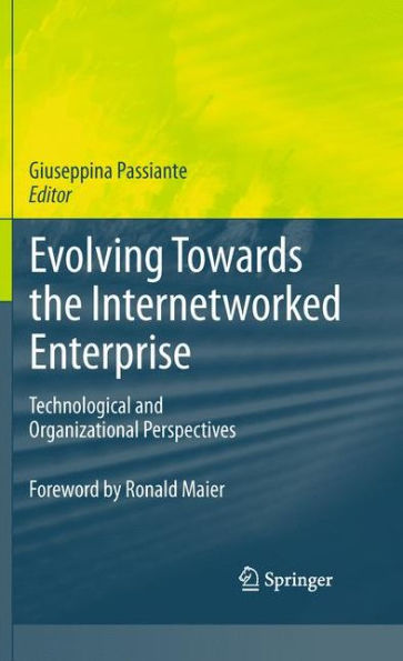 Evolving Towards The Internetworked Enterprise: Technological And Organizational Perspectives