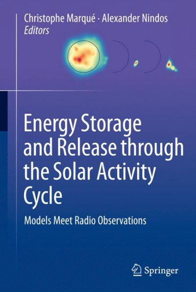 Energy Storage And Release Through The Solar Activity Cycle: Models Meet Radio Observations