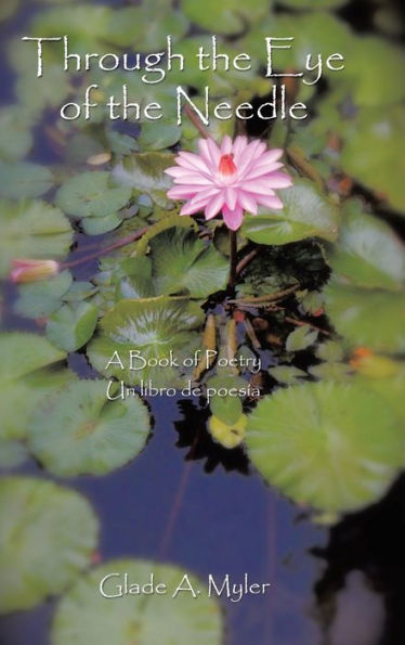 Through The Eye Of The Needle: A Book Of Poetry