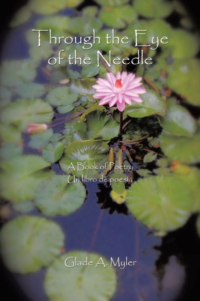 Through The Eye Of The Needle: A Book Of Poetry