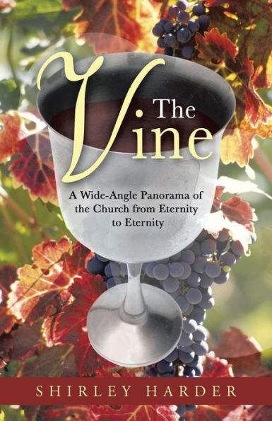 The Vine: A Wide-Angle Panorama Of The Church From Eternity To Eternity