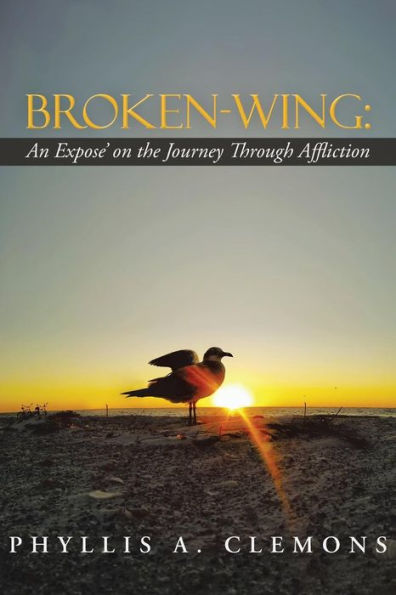 Broken-Wing: An Expose' On The Journey Through Affliction