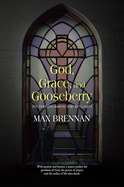 God, Grace, And Gooseberry: 101 Brief Encounters With The Gospel