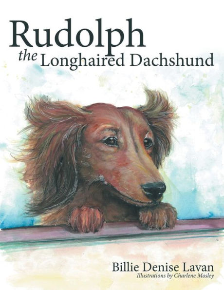 Rudolph The Longhaired Dachshund