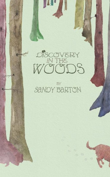 Discovery In The Woods: A St. Patrick's Day Surprise (Leprechaun Adventures)