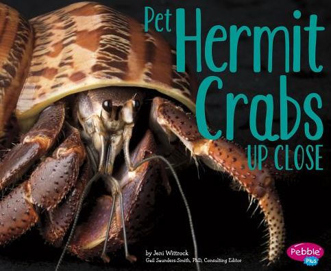 Pet Hermit Crabs Up Close (Pets Up Close)