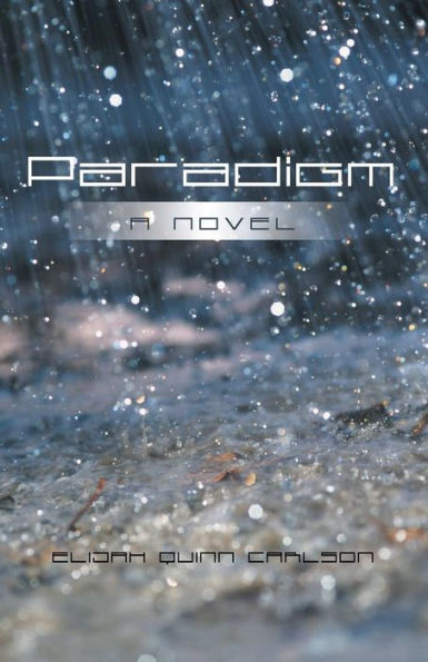 Paradigm: A Novel