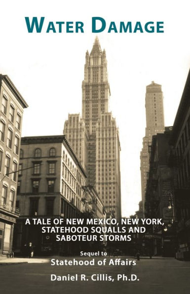 Water Damage: A Tale Of New Mexico, New York, Statehood Squalls And Saboteur Storms
