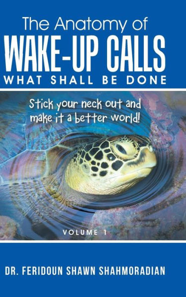 The Anatomy Of Wake-Up Calls: What Shall Be Done (1)