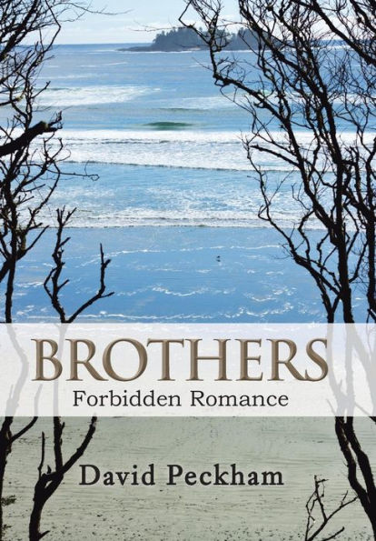 Brothers: Forbidden Romance