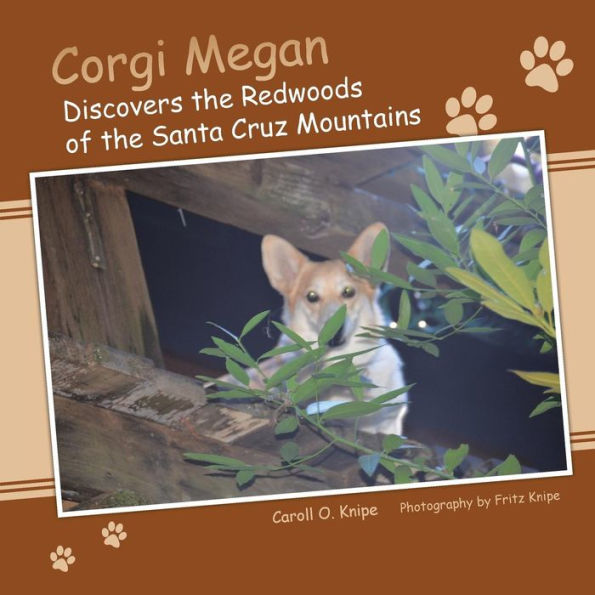 Corgi Megan Discovers The Redwoods Of The Santa Cruz Mountains