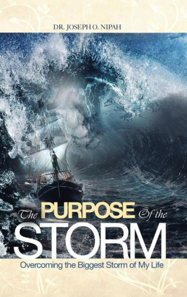 The Purpose Of The Storm: Overcoming The Biggest Storm Of My Life