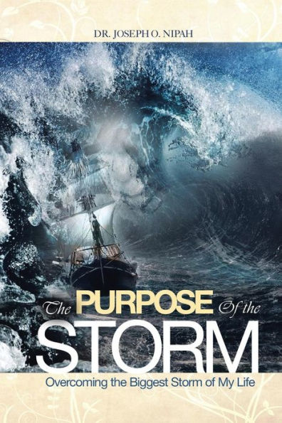 The Purpose Of The Storm: Overcoming The Biggest Storm Of My Life