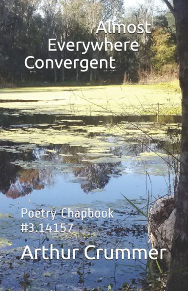 Almost Everywhere Convergent: Poetry Chapbook #3.14159 (Lacuna Character Poetry)