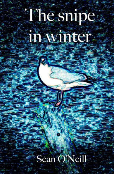 The Snipe In Winter