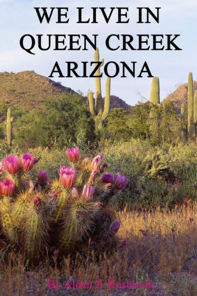 We Live In Queen Creek Arizona: If It Were Not For The Mafia We Would Most Likely Not Have Moved To Queen Creek