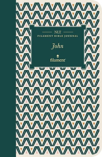 Nlt Filament Bible Journal: John (Softcover)