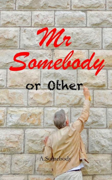 Mr Somebody Or Other: A Journey - A Dream - An Idiot. Laugh Out Loud Feel Good Memoirs Of An Everyday Man Who Is Nobody Else's Fool. (2)