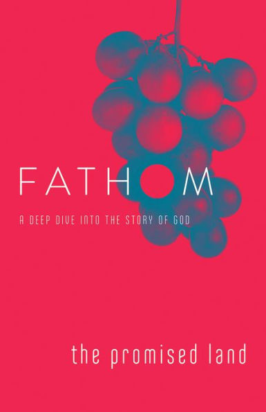 Fathom Bible Studies - 9781501838798