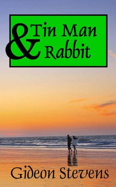Tin Man And Rabbit